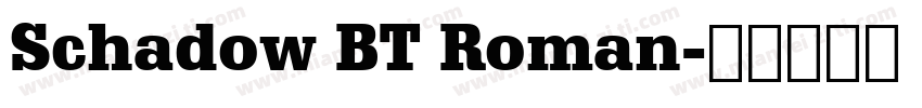 Schadow BT Roman字体转换